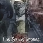 cd Sapos