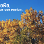 drexler otoño 700_400